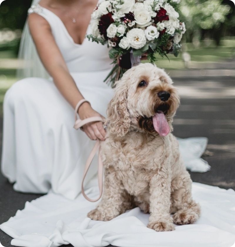 Bridal content series