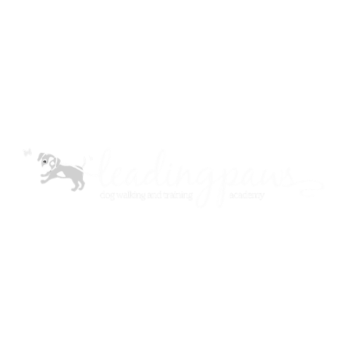 Leading Paws
