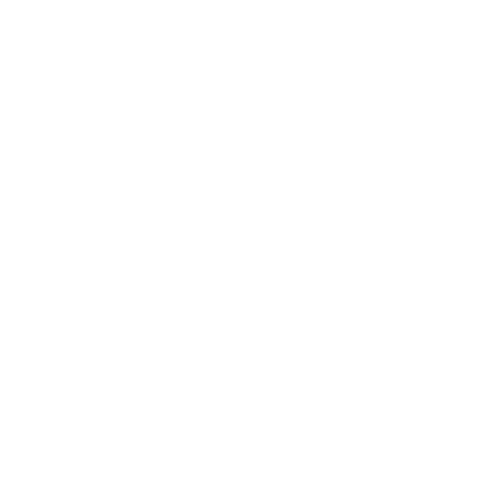 Soigne Fashion