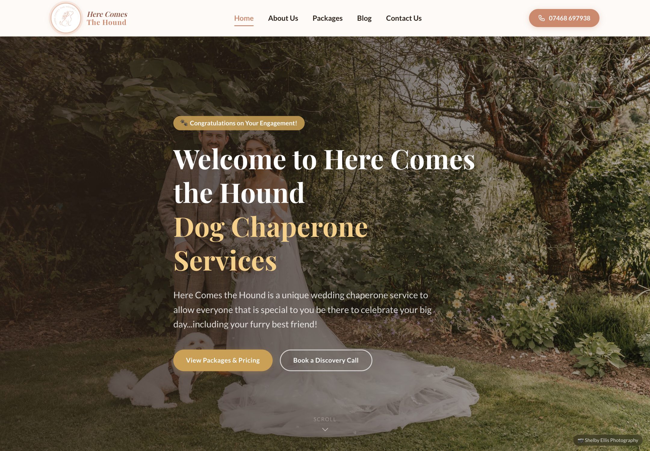 Here Comes The Hound website